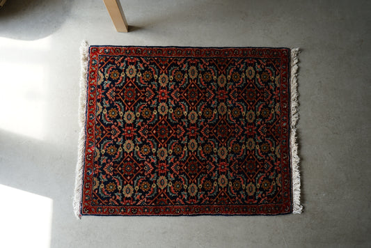 IRAN ANTIQUE BIJAR RIZ MAHI 1900年代 76 × 62 cm