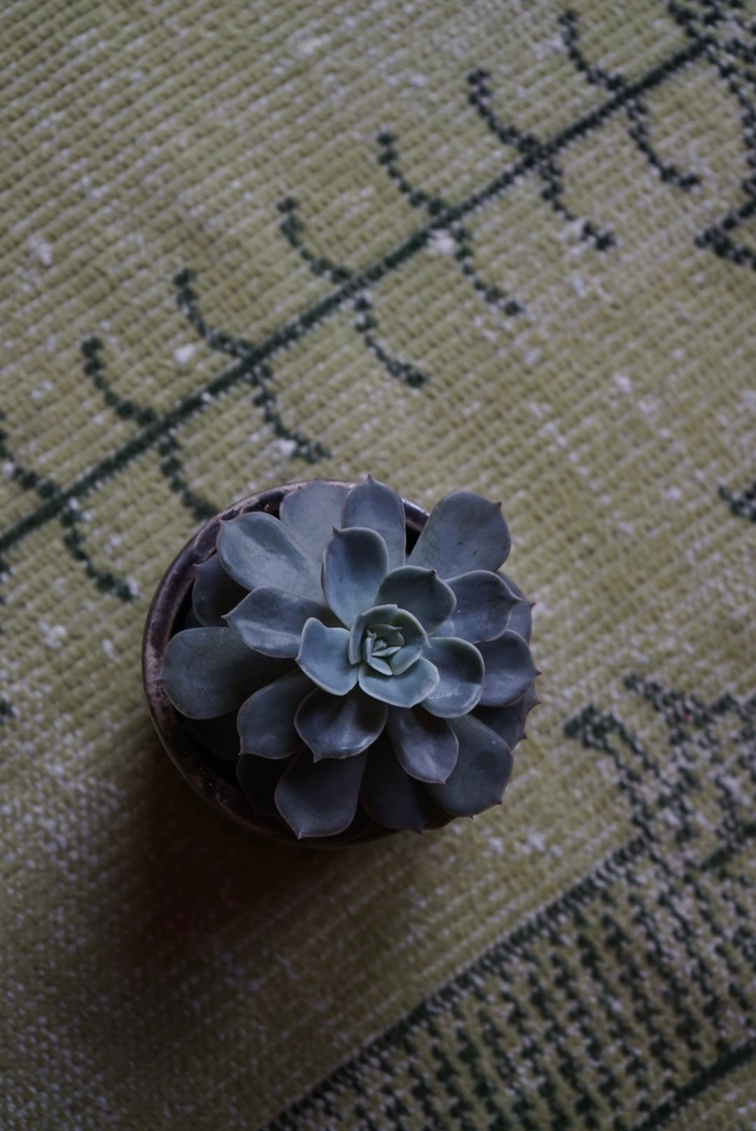 TURKEY OLD ISPARTA PRAYER RUG ARTICHOKE 1970年代 116 × 66 cm No.TR25201