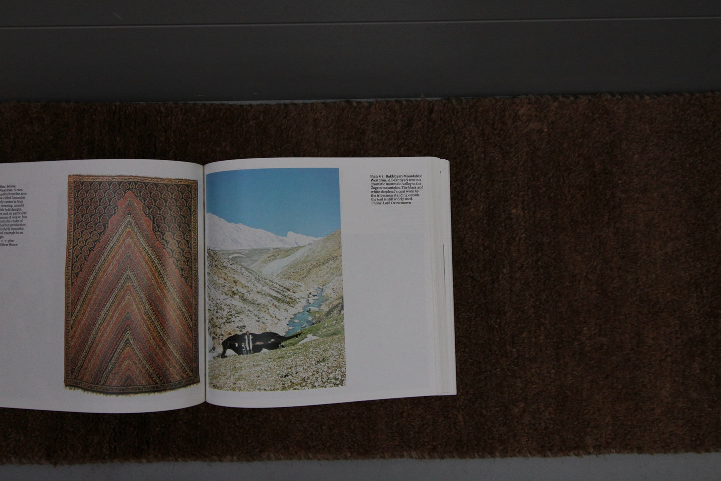 IRAN OLD SHIRAZ QASHQAI GABBEH 1930-1950年代
80.5 × 30.5 cm