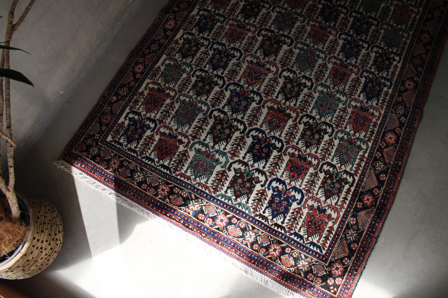 店頭販売 IRAN ANTIQUE AFSHAR 1860年代 183 × 135 cm