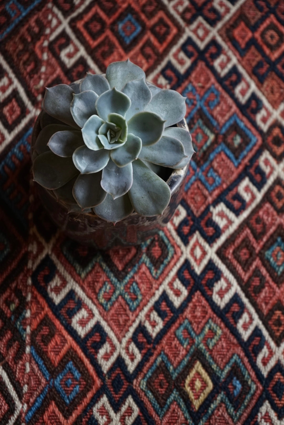 Türkiye Old Kurdistan Jajim Small size 1970年代 53 × 49 cm No.TR25233