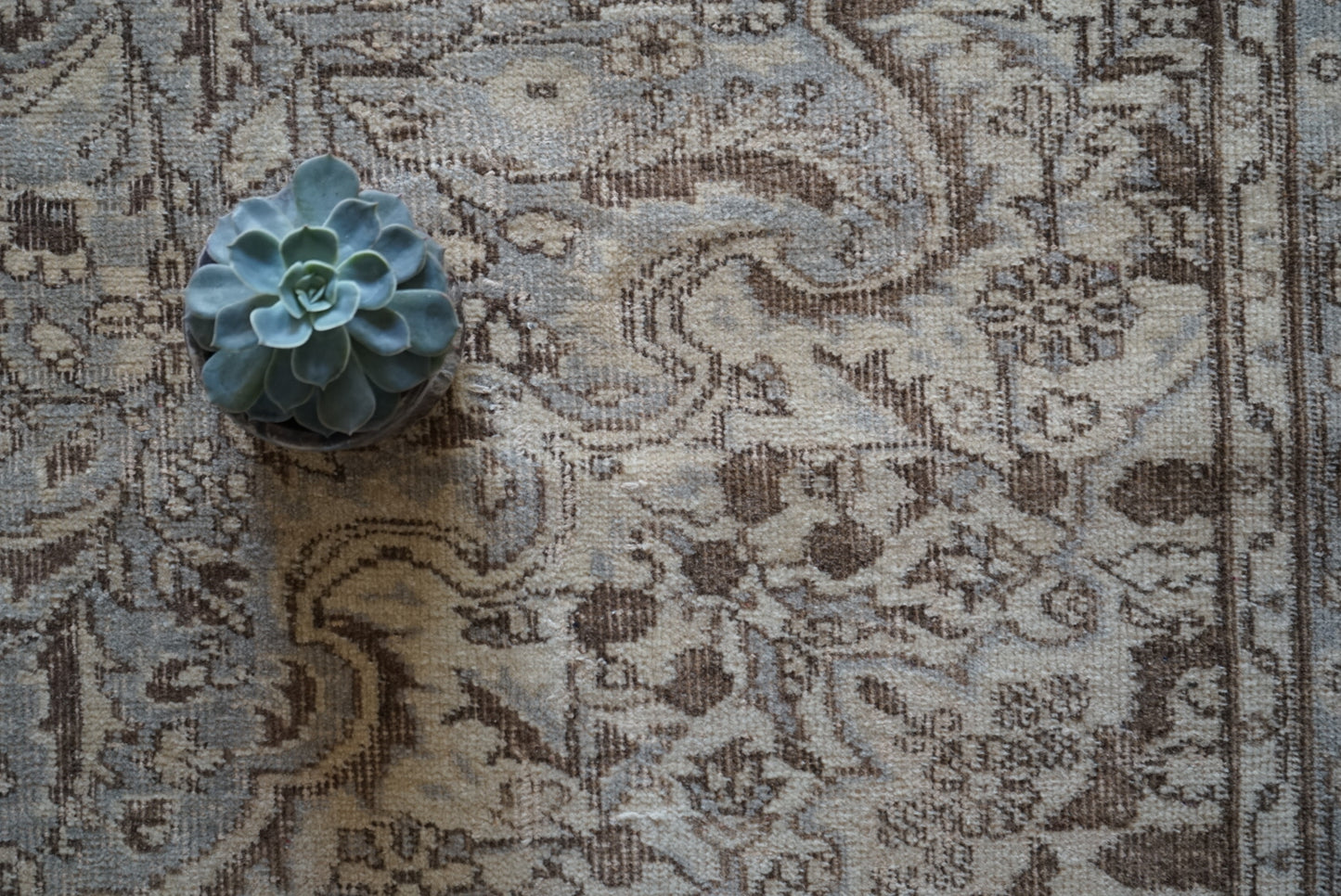 Türkiye Old Isparta Ecru , Gray 1960-1970年代 249 × 158 cm No.TR25265