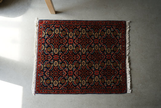 店頭販売 IRAN ANTIQUE BIJAR RIZ MAHI 1900年代 76×62cm