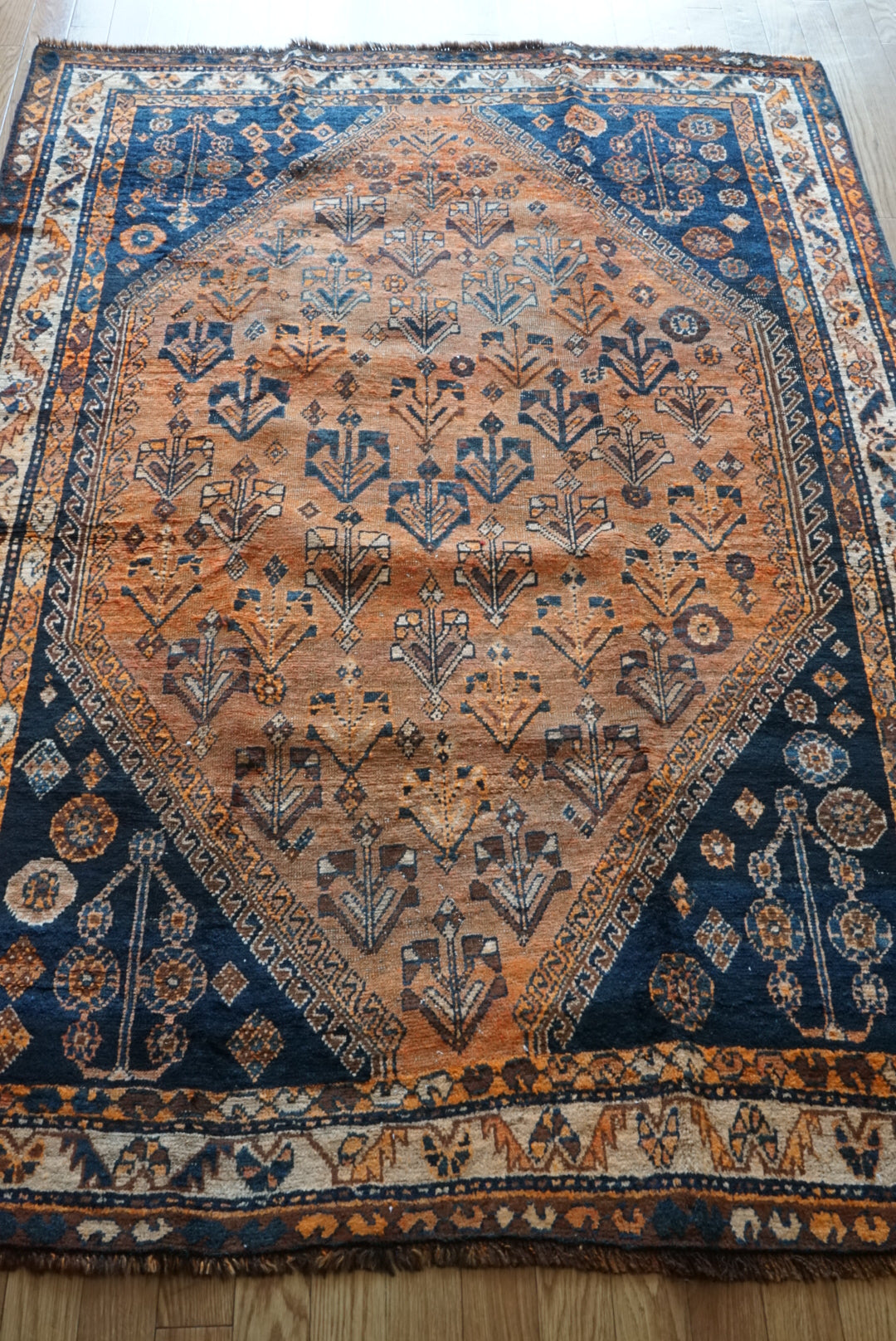 店頭販売 IRAN ANTIQUE SHIRAZ QASHQAI BASSERI 1870年代 217 × 150 cm