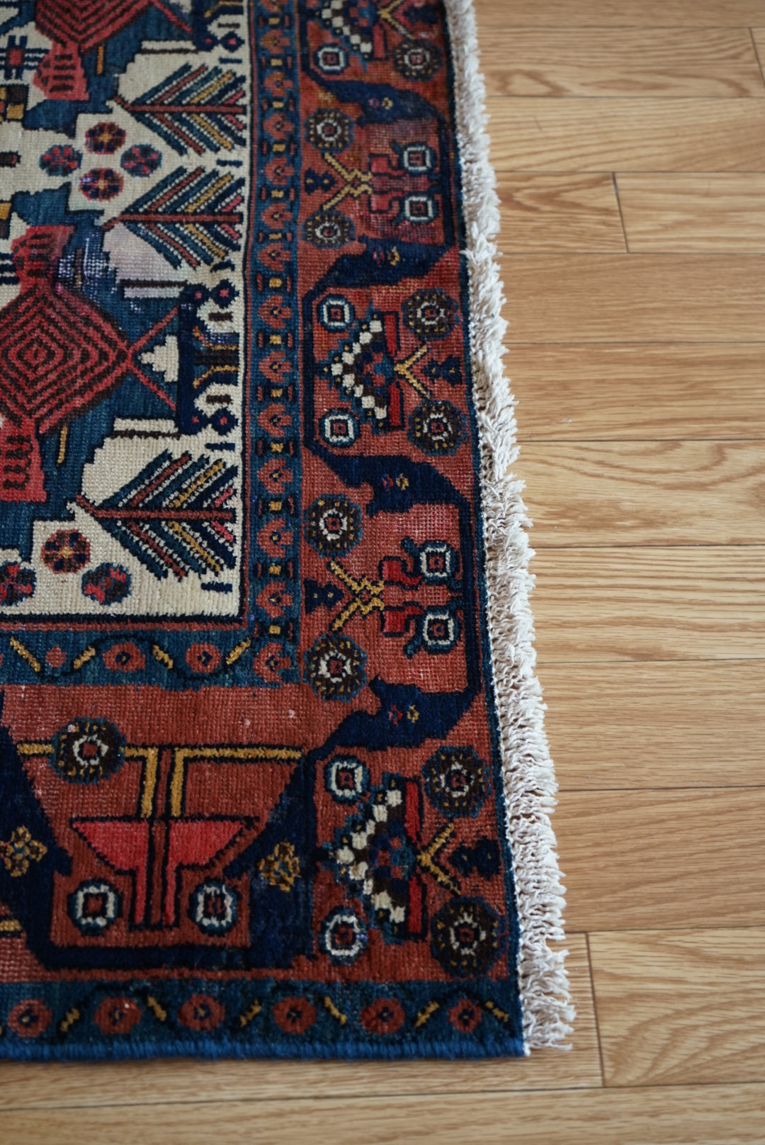 店頭販売 IRAN ANTIQUE BAKHTIARI GAVAN BUSHES
1870年代 185.5 × 146 cm