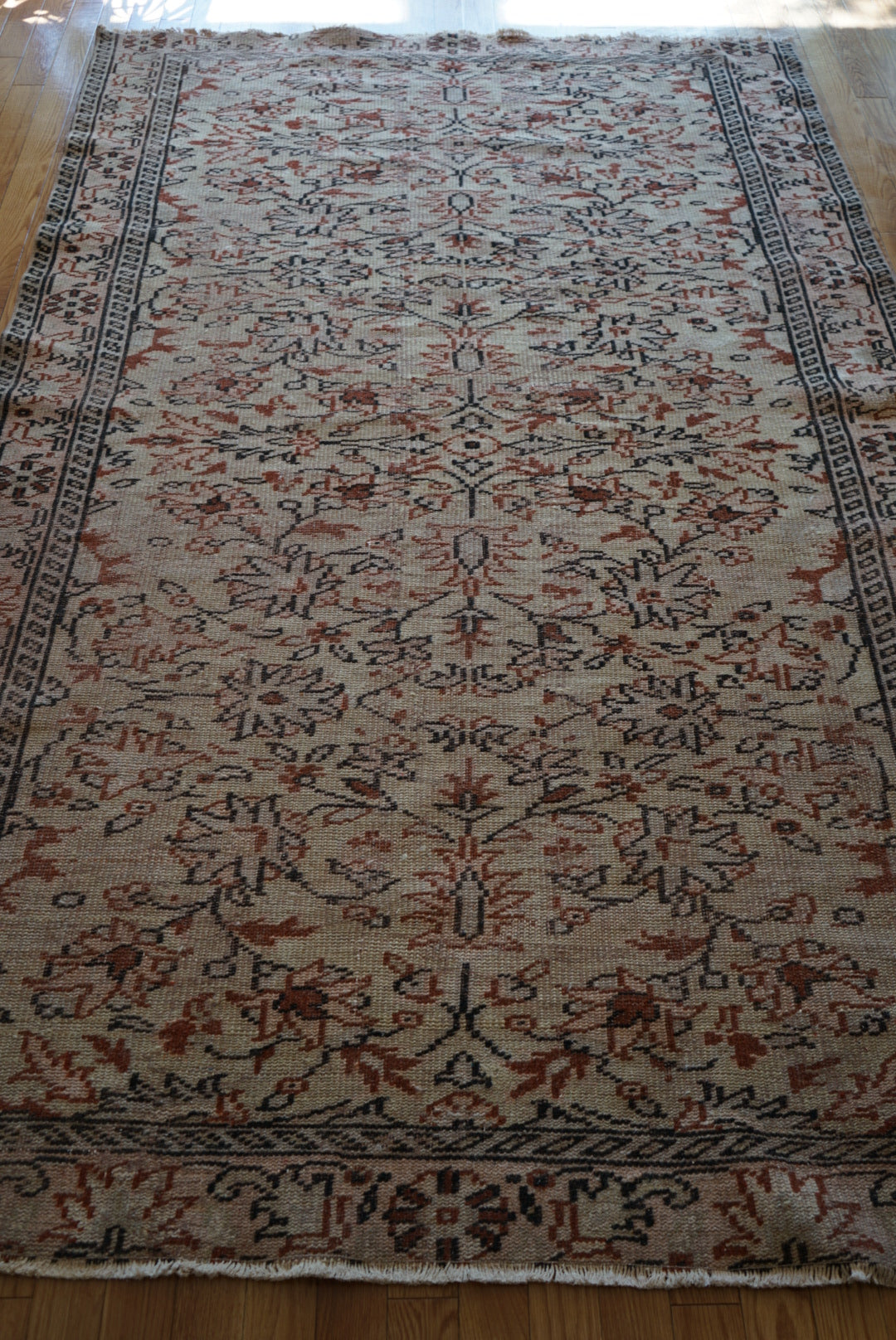 Türkiye Old Kayseri Olive , Beige Flower 1970年代 270 × 169 cm No.TR25389