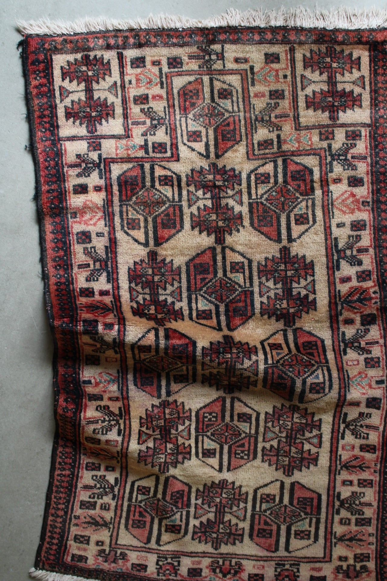 Afghanistan Baluch Prayer rug 1970年代 119×73.5cm