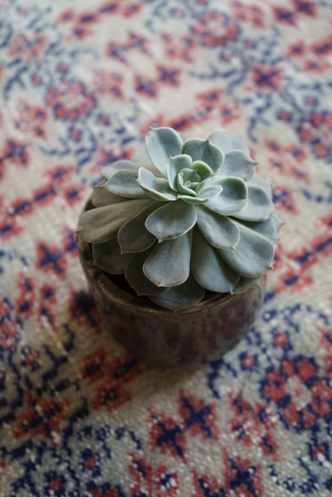 Türkiye Old Isparta Beige , Red , Navy Runner 1970年代 262 × 130 cm No.TR25263