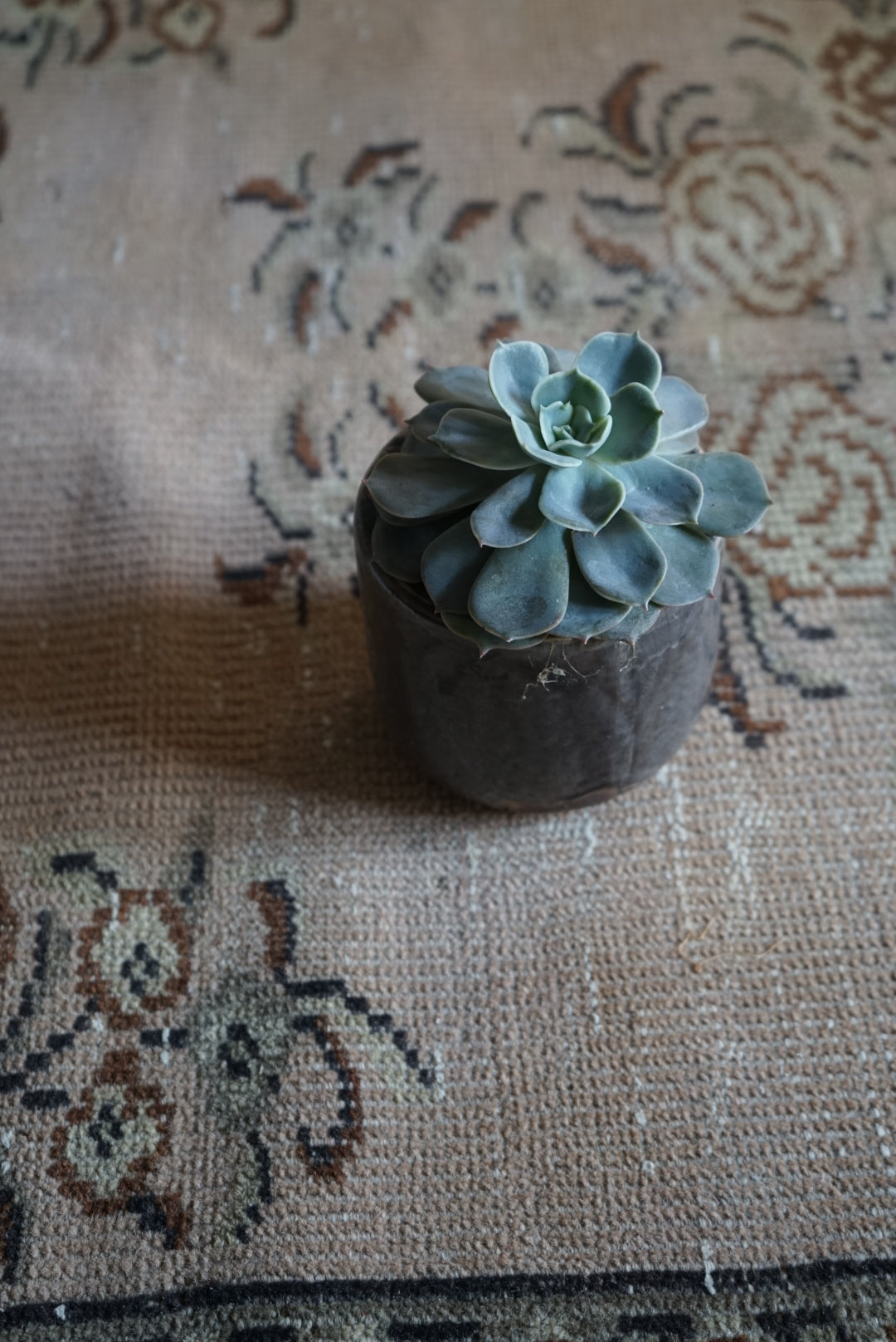 Türkiye Old Isparta Floral Rich Color Beige, Olive 1970年代 195 × 113 cm No.TR25259