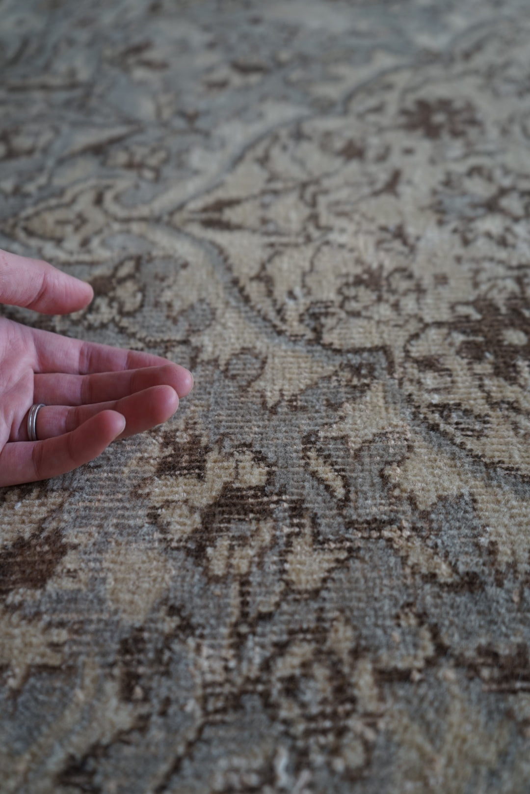 Türkiye Old Isparta Ecru , Gray 1960-1970年代 249 × 158 cm No.TR25265