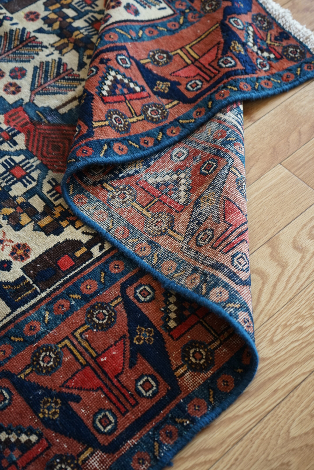 店頭販売 IRAN ANTIQUE BAKHTIARI GAVAN BUSHES
1870年代 185.5 × 146 cm