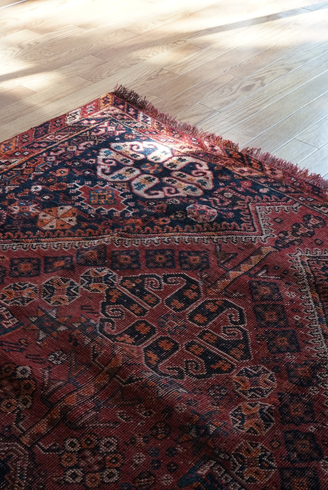 店頭販売 IRAN ANTIQUE SHIRAZ QASHQAI HEYBATLO 1880年代 235 × 148 cm / 国内送料無料・羊毛手織り絨毯