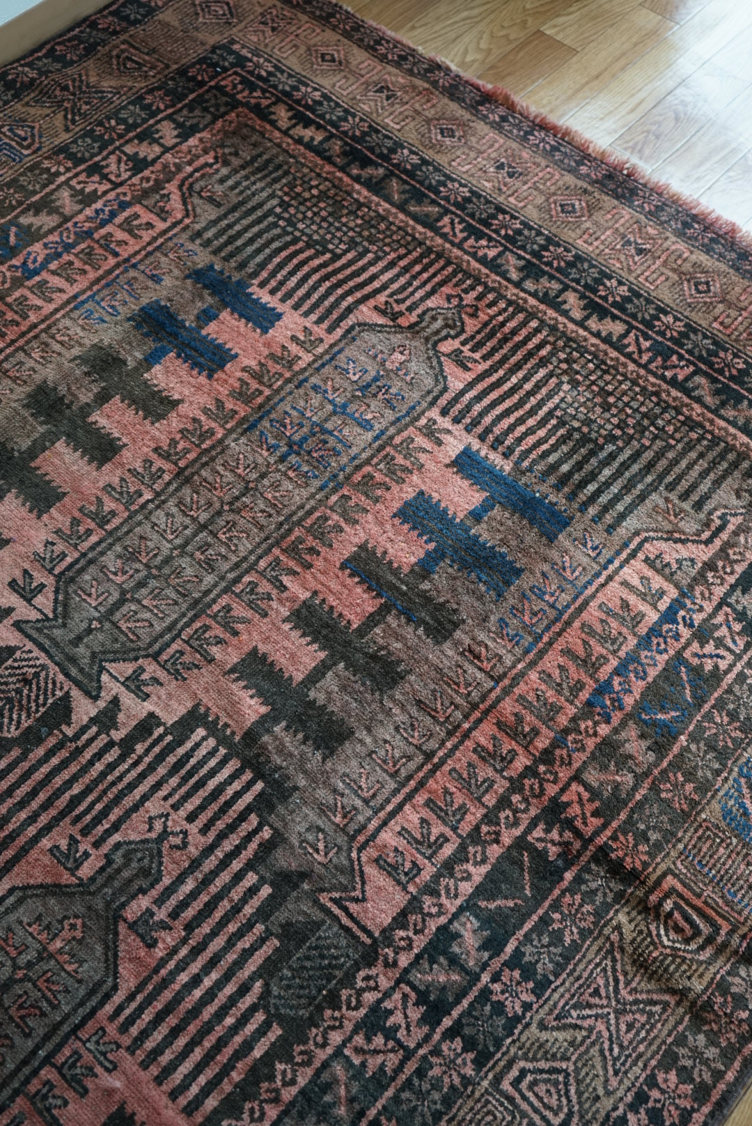 AFGHANISTAN BALUCH QALAM DANI 1970年代 325 × 153.5 cm No.AF2505