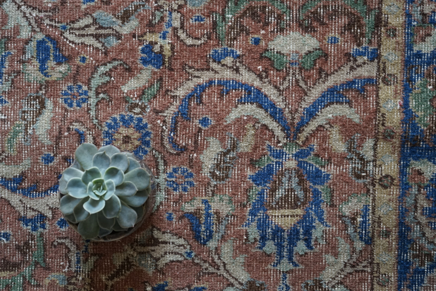 Türkiye Old Isparta Scarlet , Blue 1970年代 242 × 154 cm No.TR25264