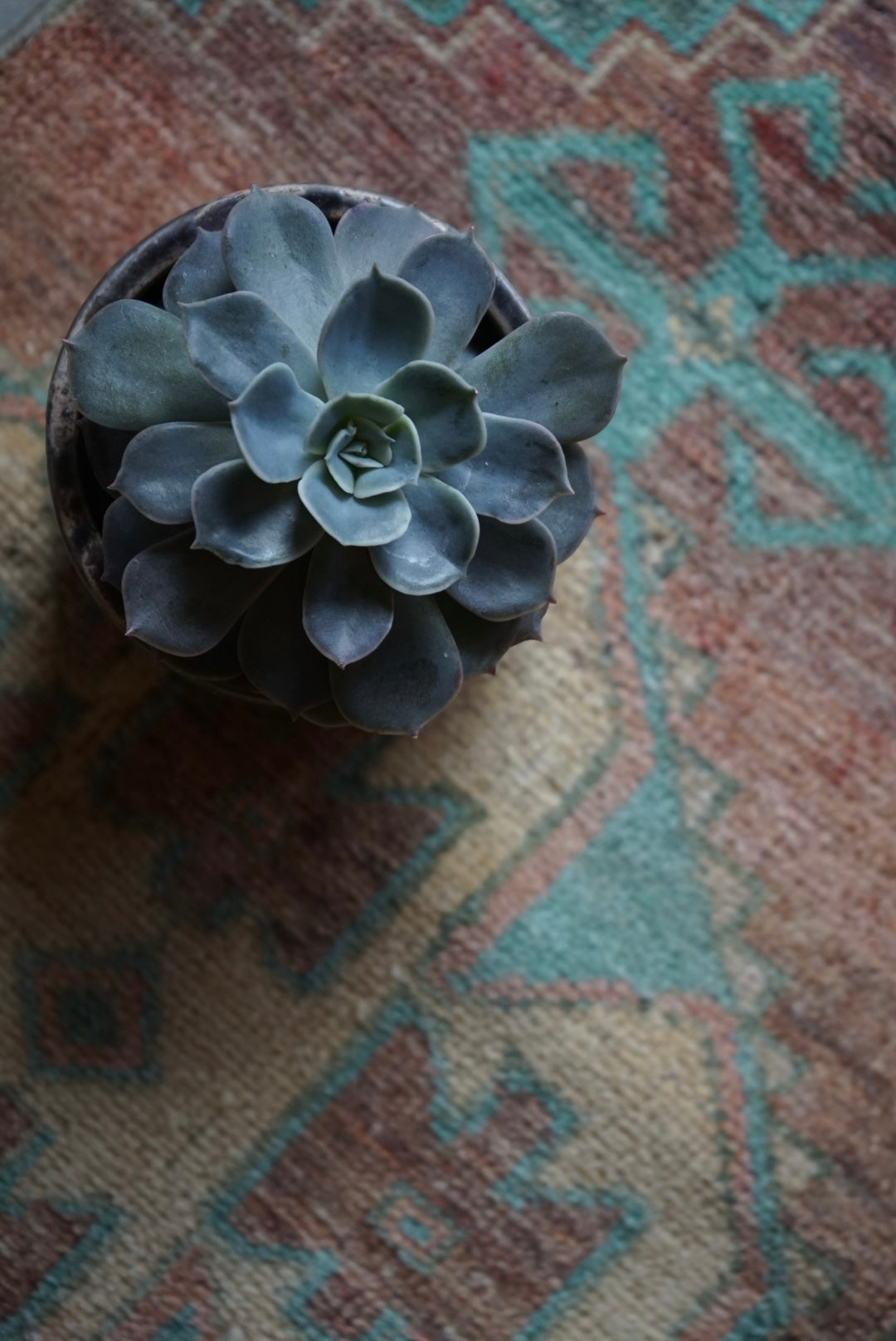 Türkiye Old Oushak Beige Blue Small size 1970年代 80 × 40 cm No.TR25243