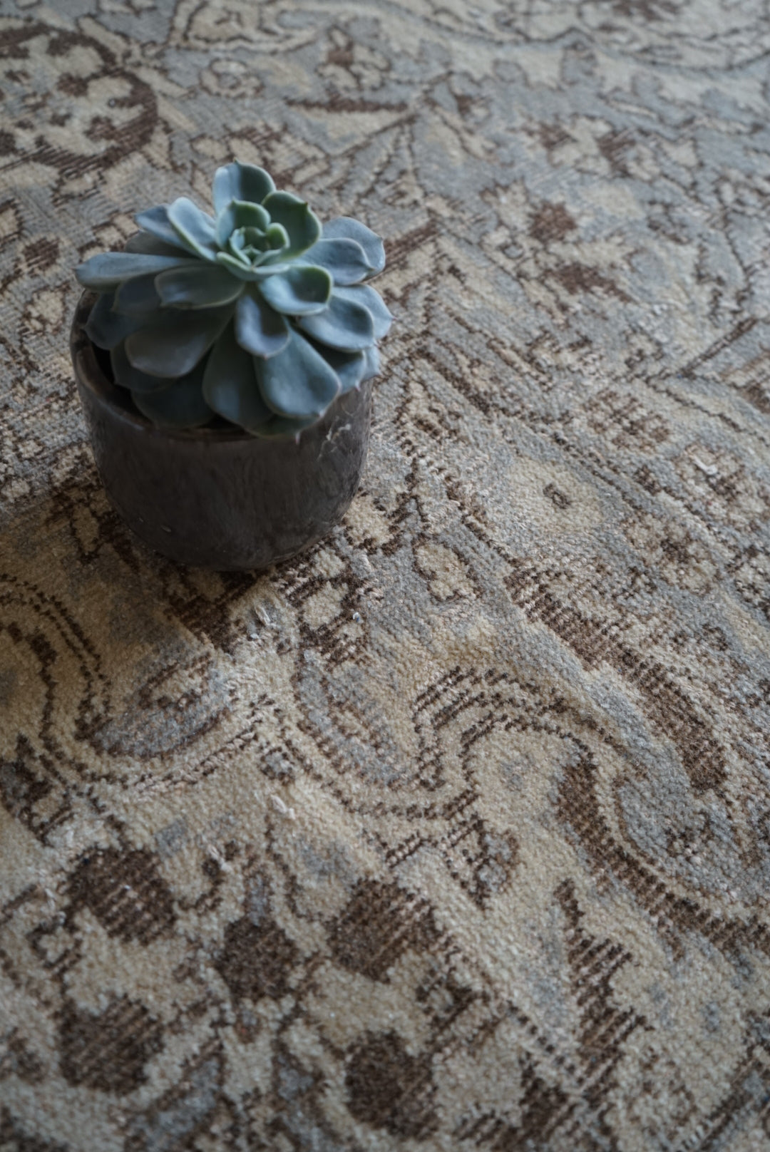 Türkiye Old Isparta Ecru , Gray 1960-1970年代 249 × 158 cm No.TR25265