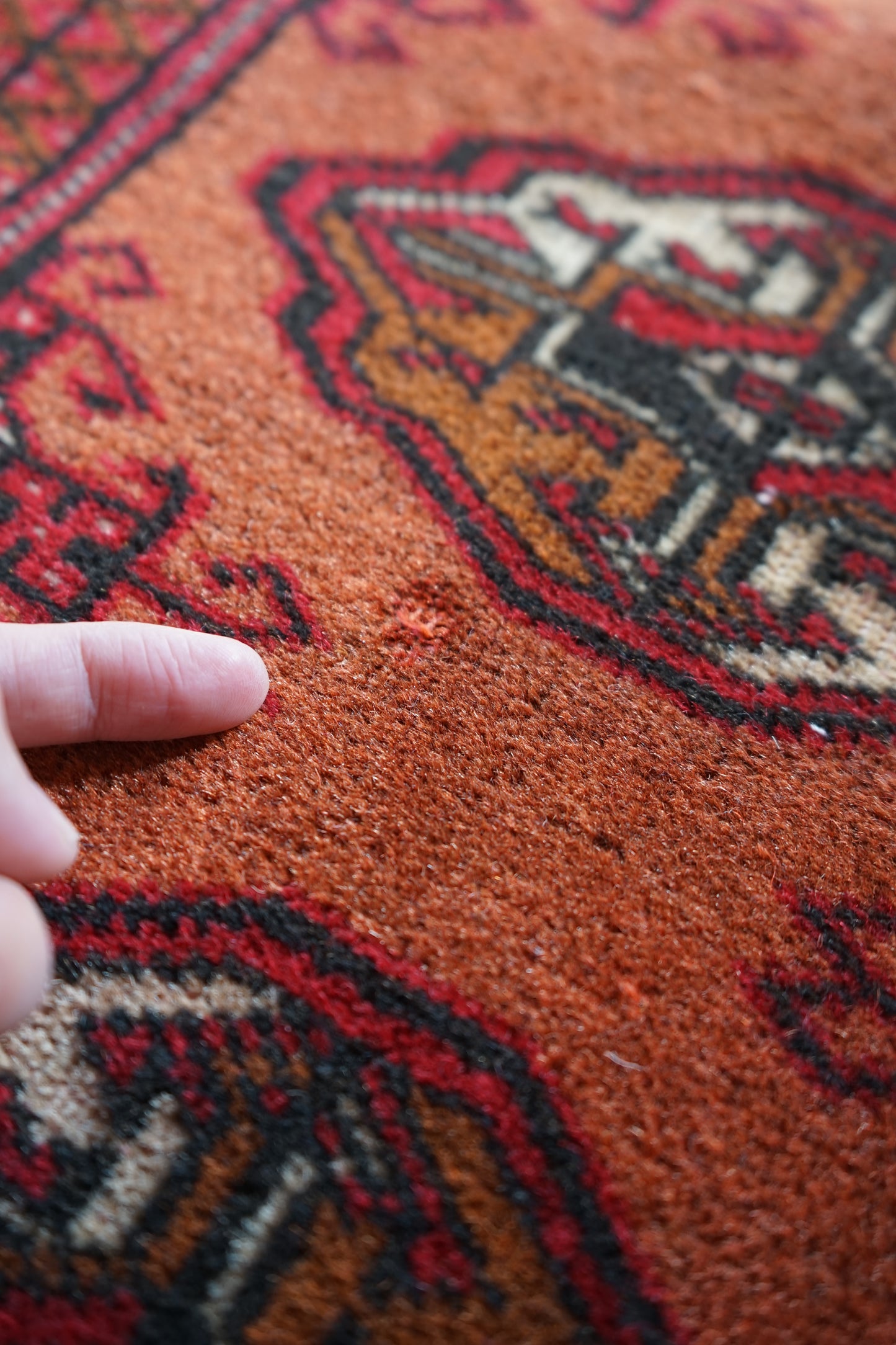 TURKEY OLD TURKMEN 1950-1970年代 195 × 123 cm No.TR2590