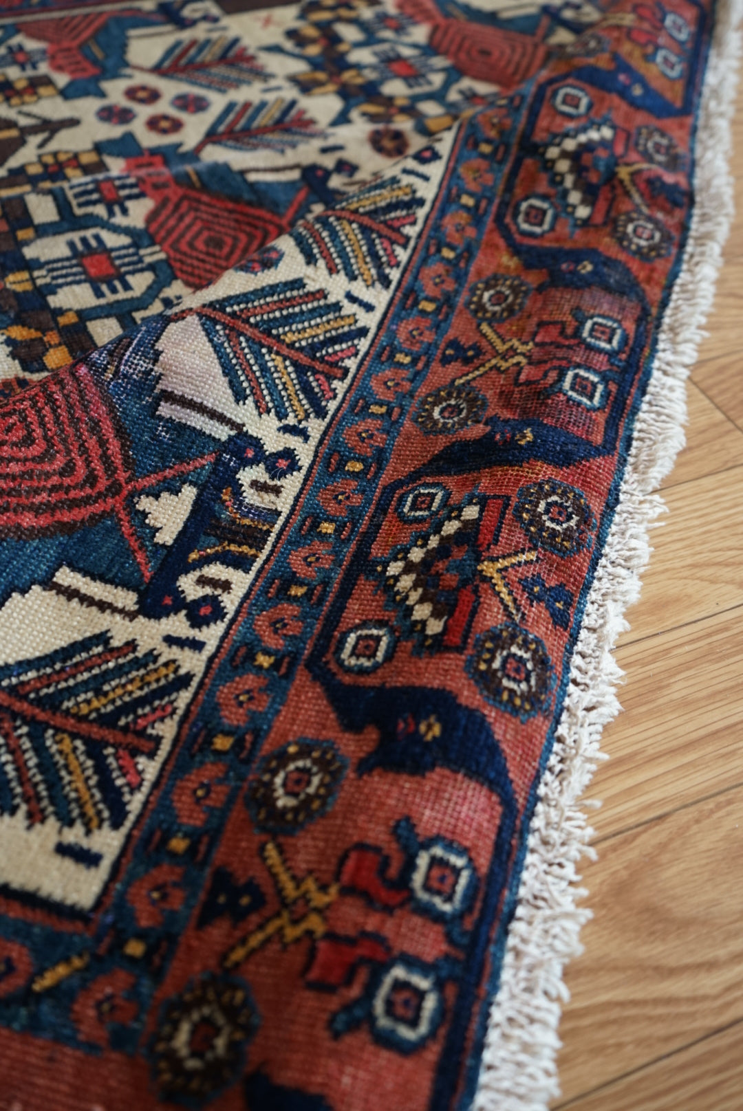 店頭販売 IRAN ANTIQUE BAKHTIARI GAVAN BUSHES
1870年代 185.5 × 146 cm