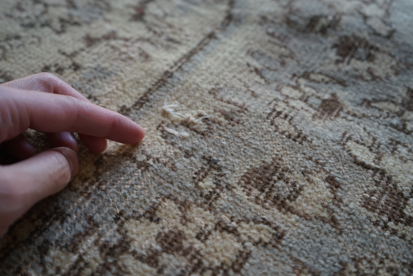 Türkiye Old Isparta Ecru , Gray 1960-1970年代 249 × 158 cm No.TR25265