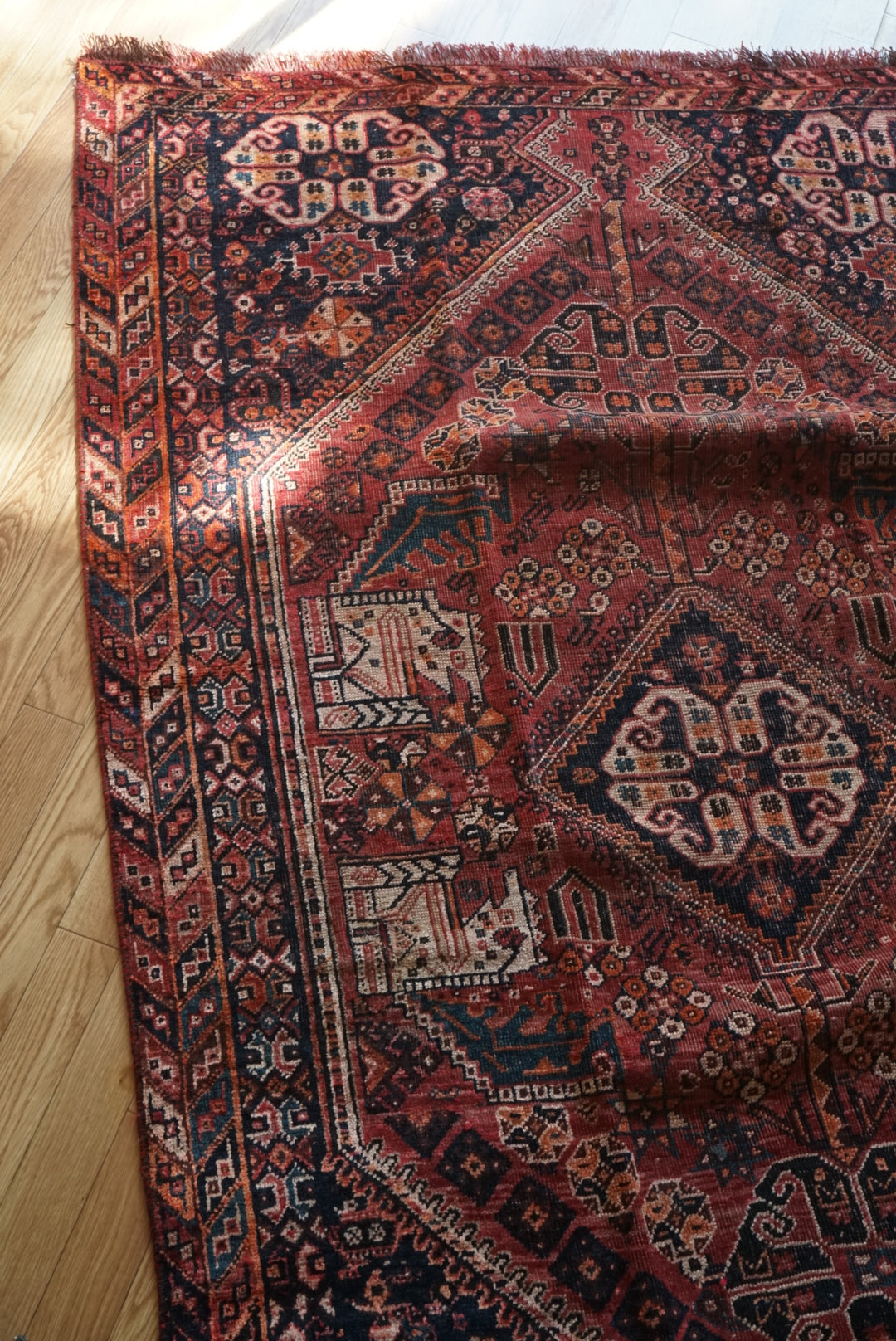 店頭販売 IRAN ANTIQUE SHIRAZ QASHQAI HEYBATLO 1880年代 235 × 148 cm / 国内送料無料・羊毛手織り絨毯