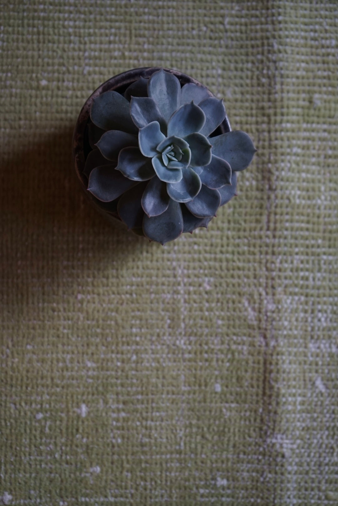 TURKEY OLD ISPARTA PRAYER RUG ARTICHOKE 1970年代 116 × 66 cm No.TR25201