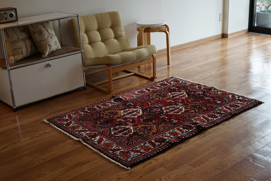 Iran Old Bakhtiari Samavari 1950年代 150 × 107 cm / 4'9 × 3'5" ft