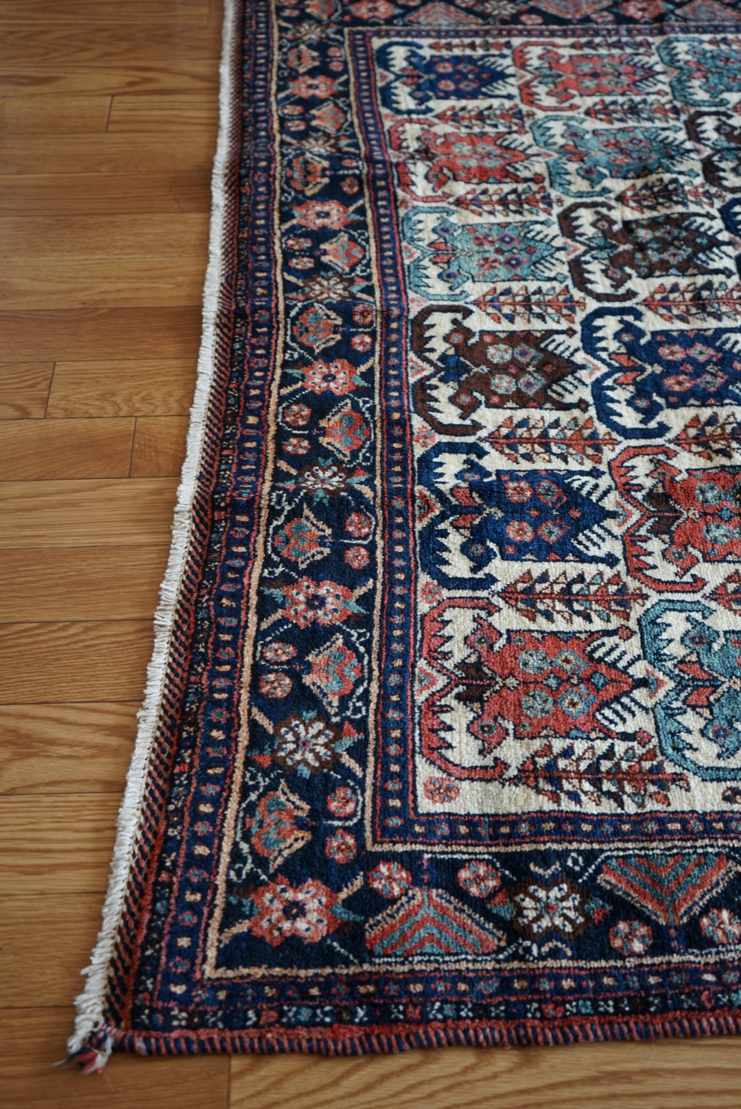 店頭販売 Iran Antique Afshar Pistachios 1860年代 183 × 135 cm