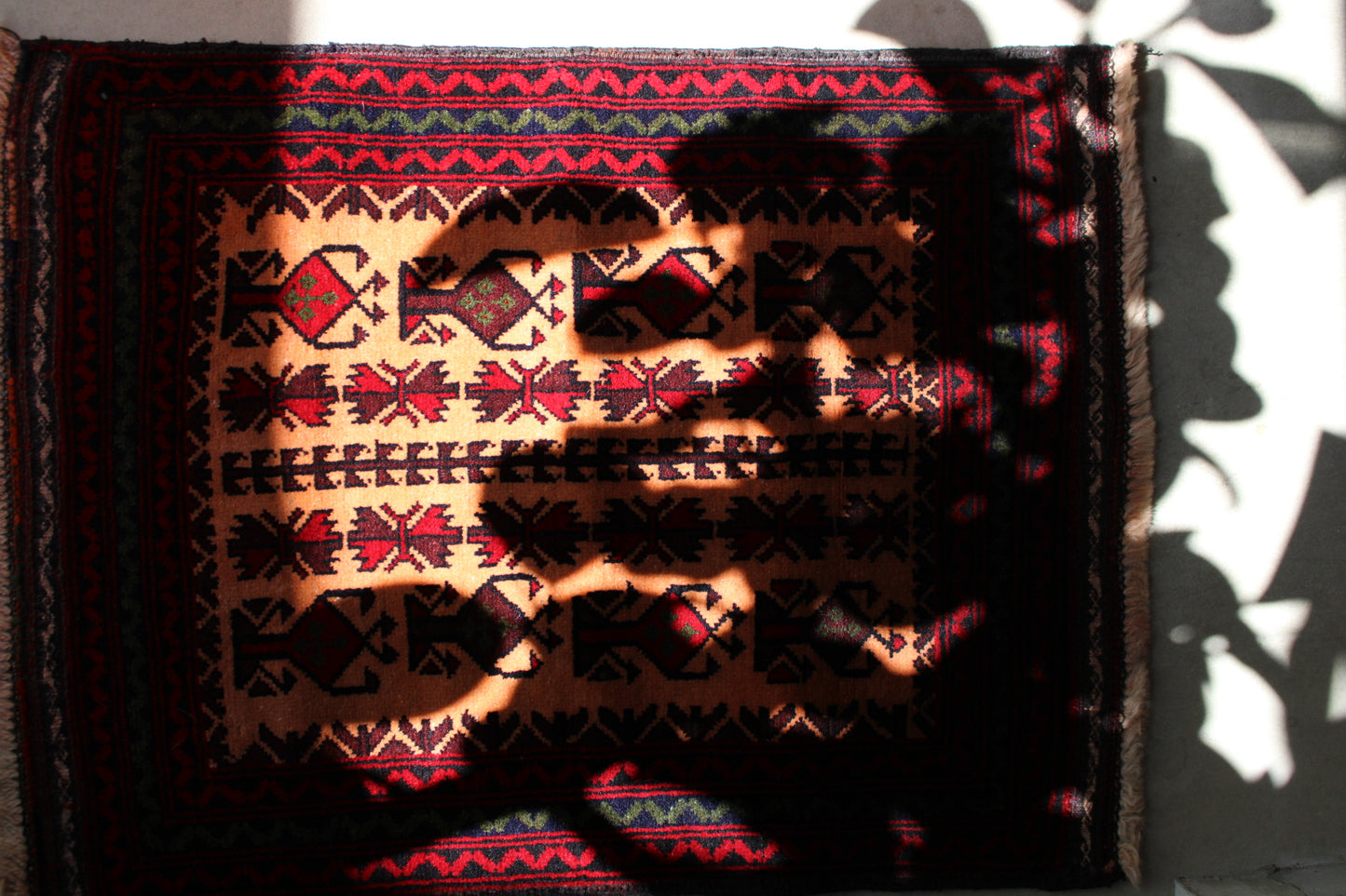 Afghanistan Baluch 1970-1980年代 76.5×58.5cm
