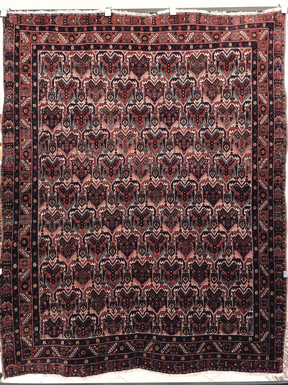 Iran antiques | Afshar 1870年代 192×154cm