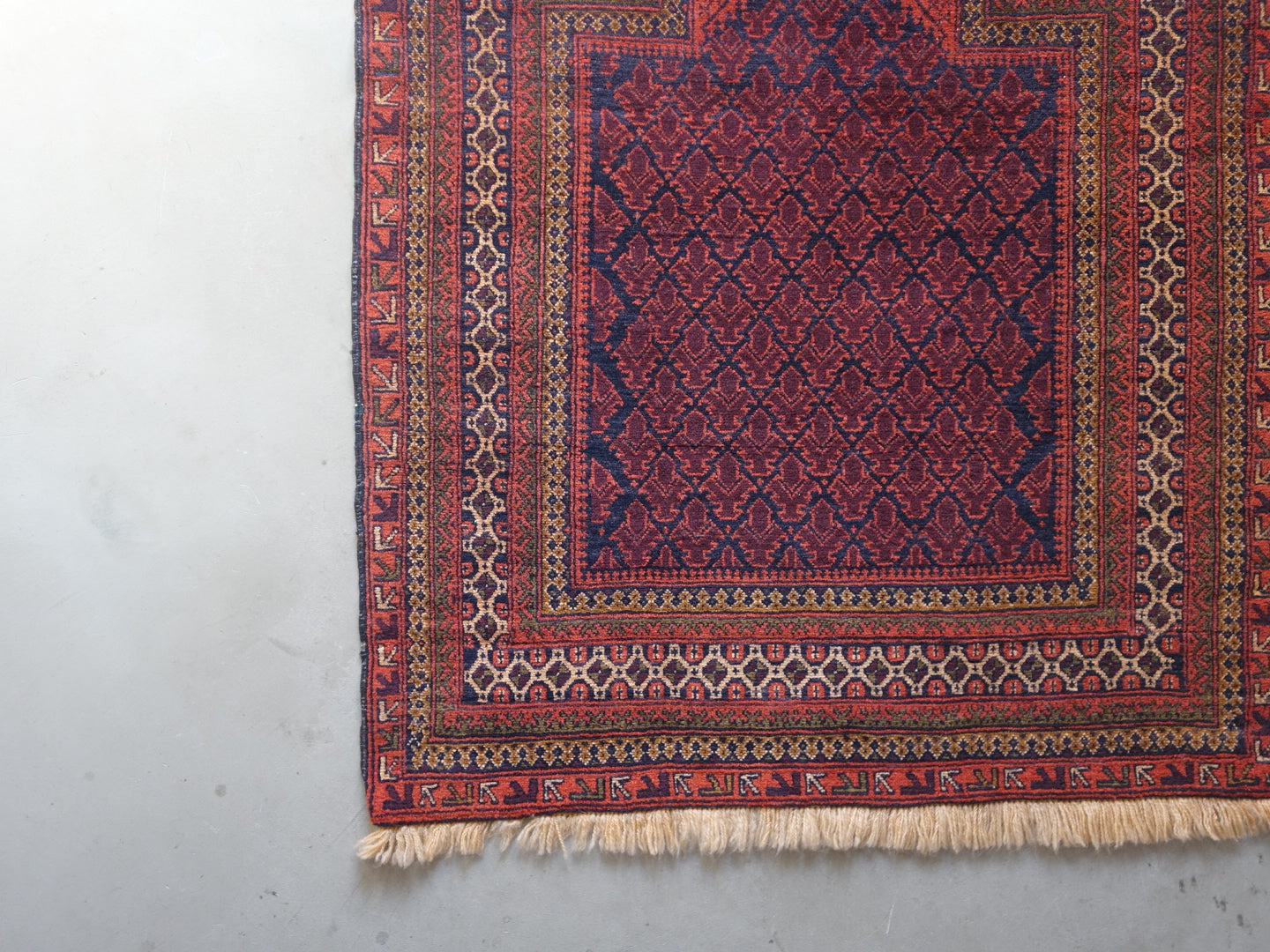 IRAN ANTIQUE TURKMEN 1880年代 154.5×99cm