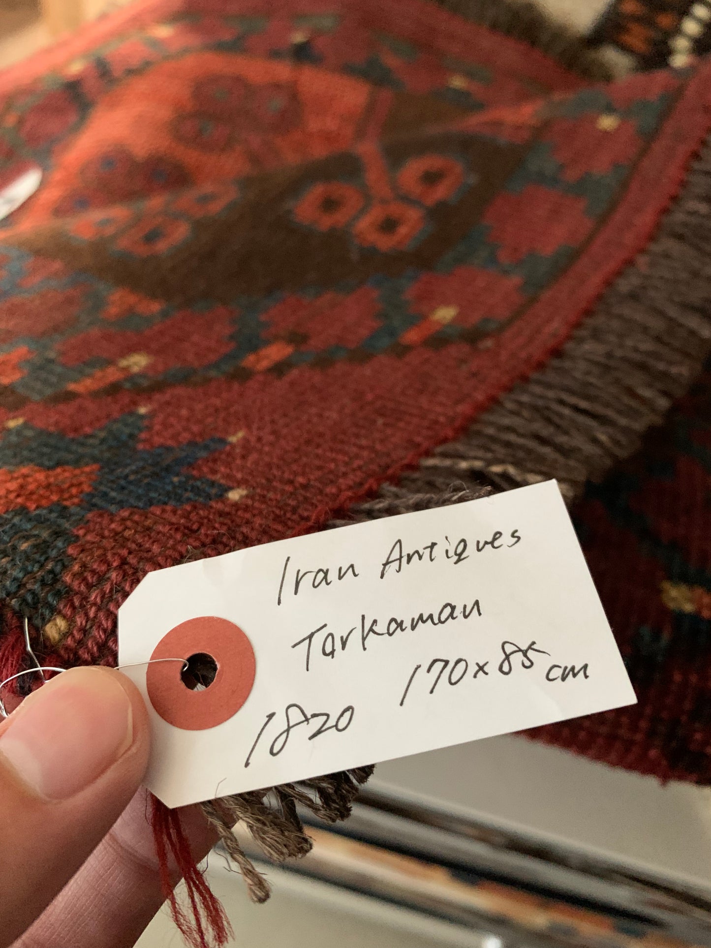 Iran antiques | Torkaman 1820年代 170×85cm